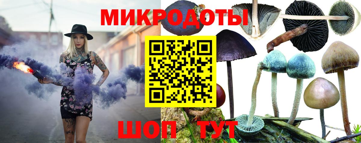 Галлюциногенные грибы Cubensis Кольчугино