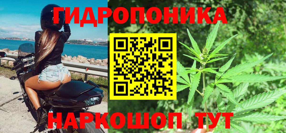 Канабис White Widow Кольчугино